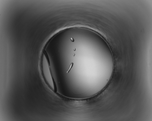 X0000088461518200705291521