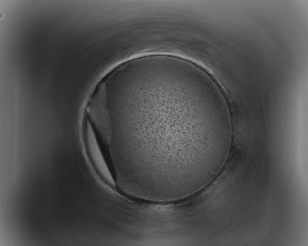 X0000088461519200705291521