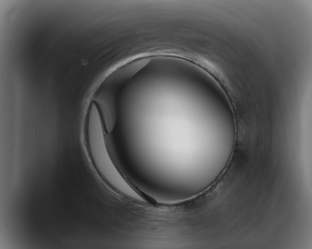 X0000088461520200705291521