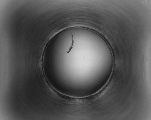X0000088461521200705291521