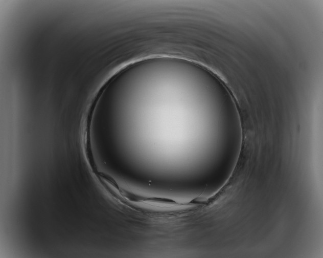 X0000088461523200705291521