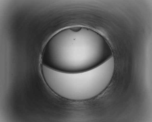 X0000088461524200705291521