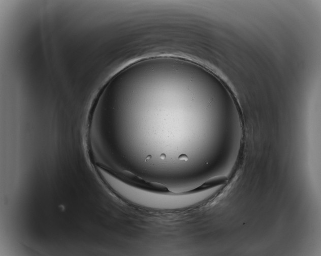 X0000088461525200705291521