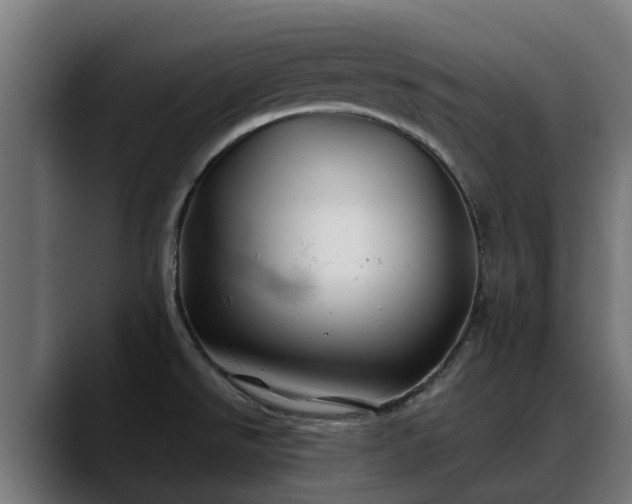 X0000088461526200705291521