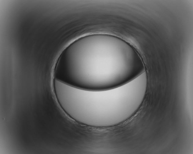X0000088461528200705291521