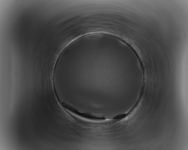 X0000088461529200705291521