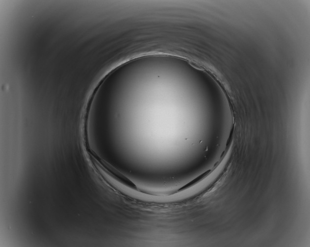 X0000088461530200705291521