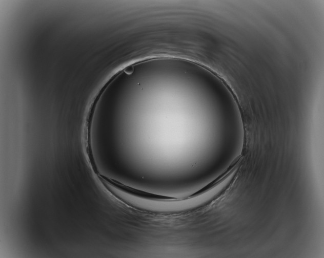 X0000088461531200705291521
