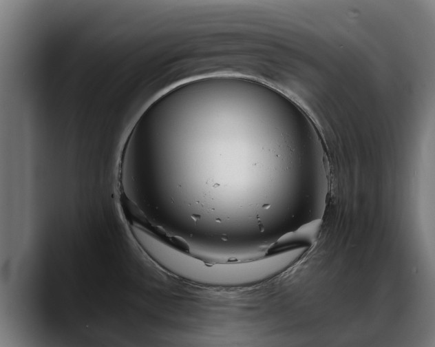 X0000088461532200705291521