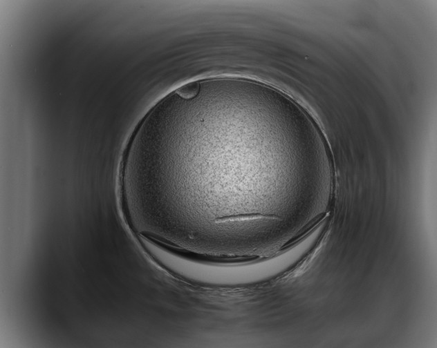 X0000088461533200705291521