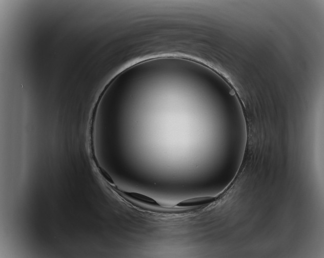 X0000088461534200705291521