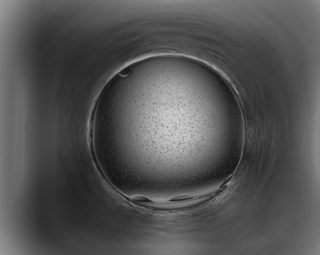 X0000088461535200705291521