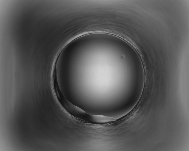 X0000088461536200705291521