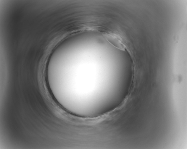 X0000088460001200706051332