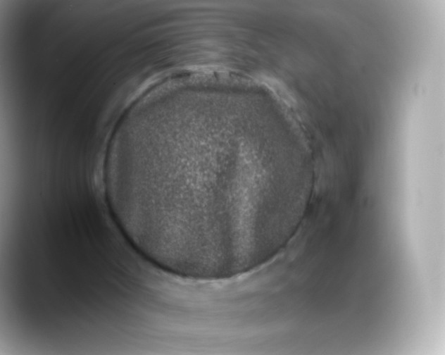 X0000088460002200706051332