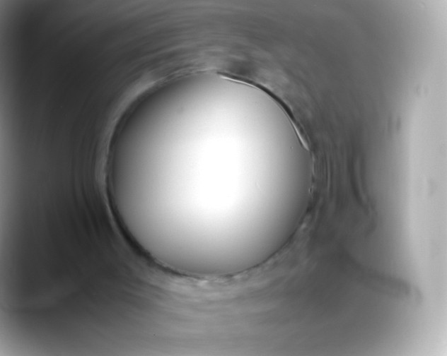 X0000088460003200706051332