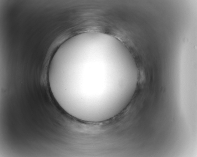 X0000088460004200706051332