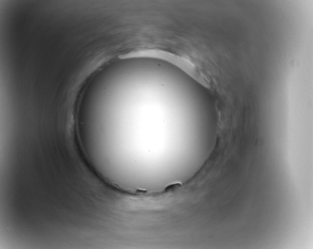 X0000088460005200706051332