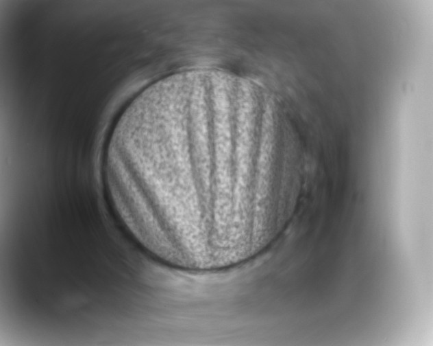 X0000088460006200706051332