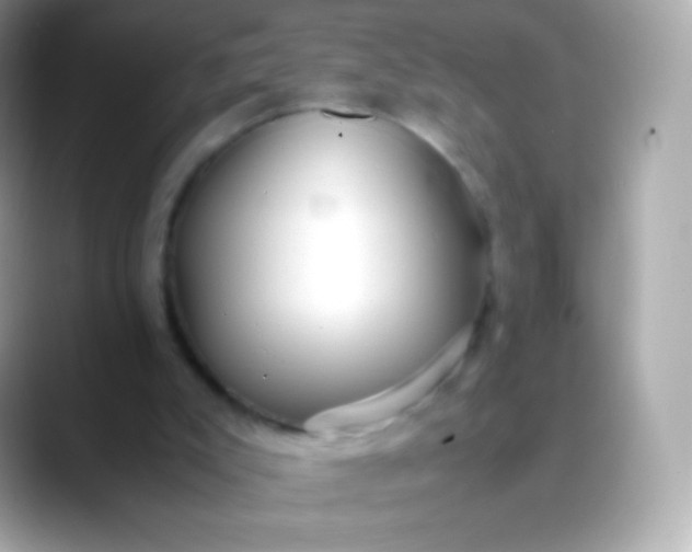 X0000088460007200706051332