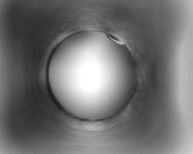 X0000088460008200706051332