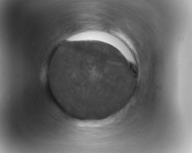 X0000088460009200706051332