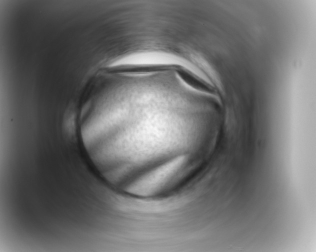 X0000088460010200706051332