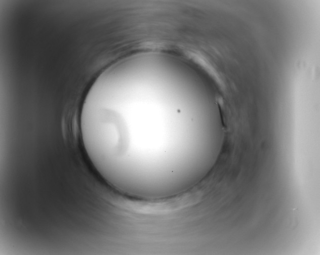 X0000088460011200706051332