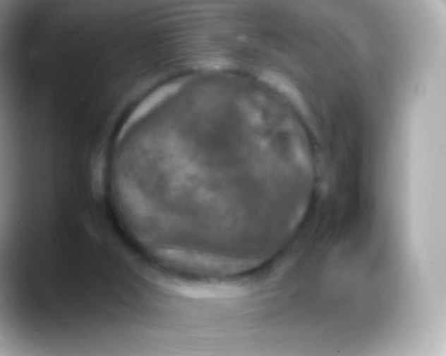 X0000088460012200706051332