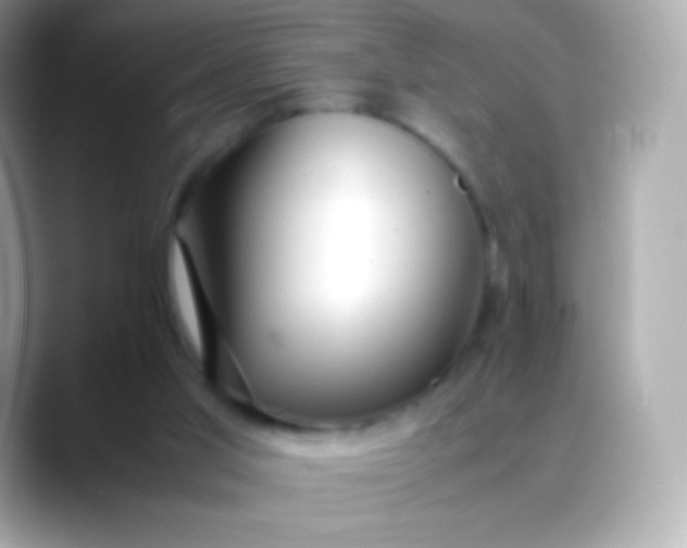 X0000088460013200706051332