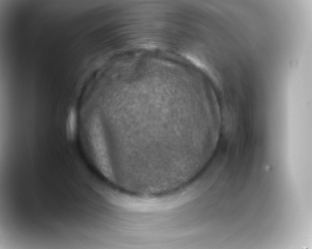 X0000088460014200706051332