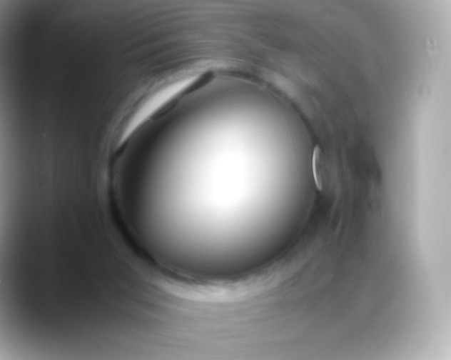 X0000088460015200706051332