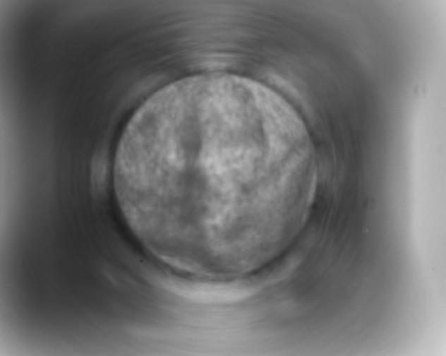 X0000088460016200706051332