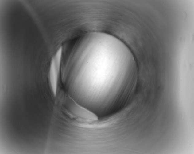 X0000088460017200706051332