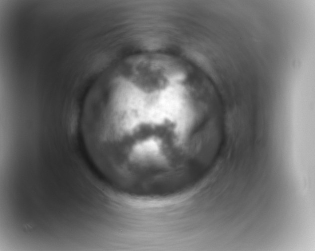 X0000088460018200706051332