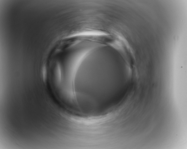 X0000088460019200706051332