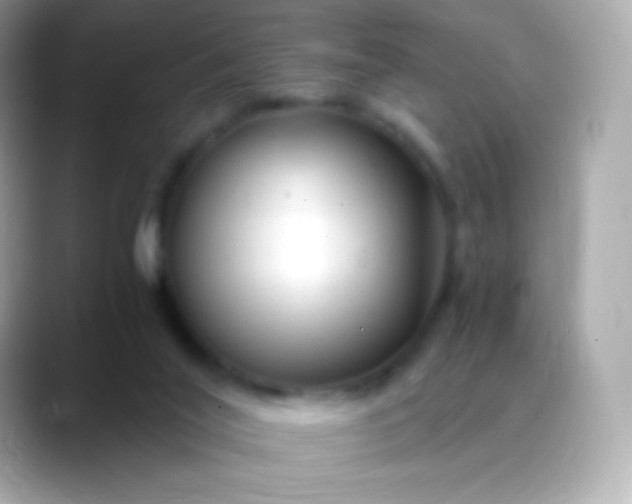 X0000088460020200706051332