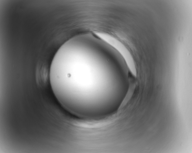 X0000088460021200706051332