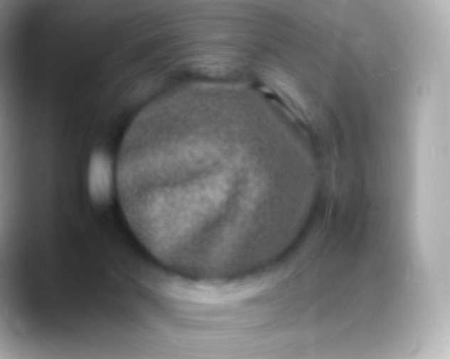 X0000088460022200706051332