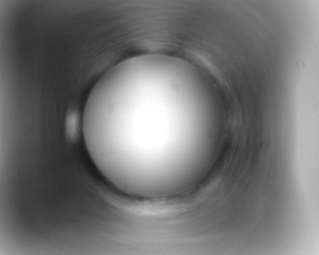 X0000088460024200706051332