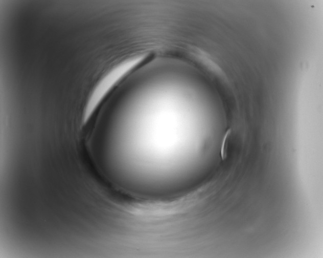 X0000088460025200706051332