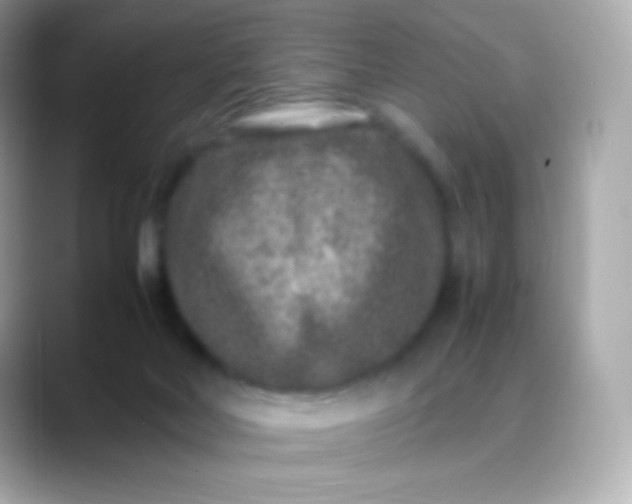 X0000088460026200706051332