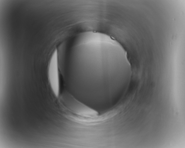 X0000088460027200706051332