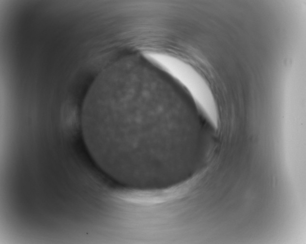 X0000088460029200706051332