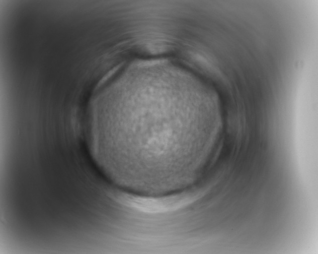 X0000088460030200706051332