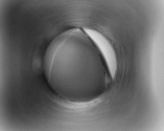 X0000088460031200706051332