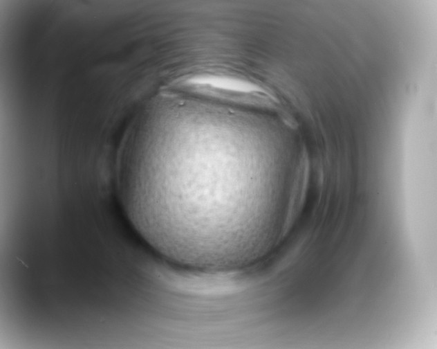 X0000088460032200706051332