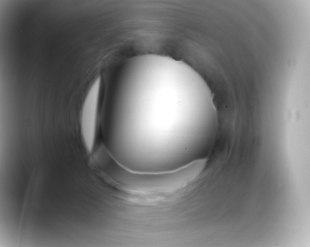 X0000088460033200706051332