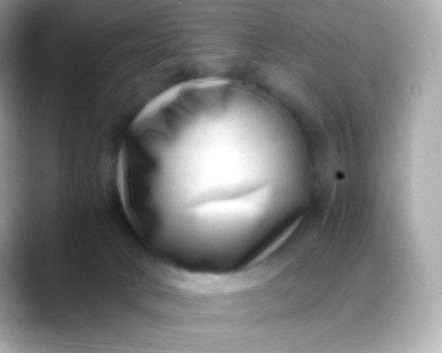 X0000088460034200706051332