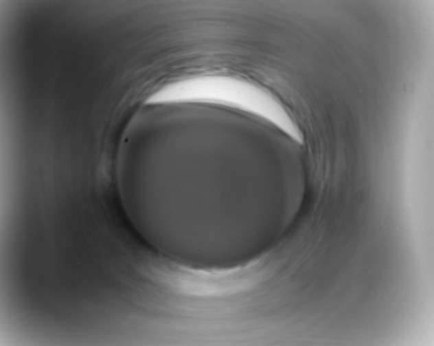 X0000088460035200706051332